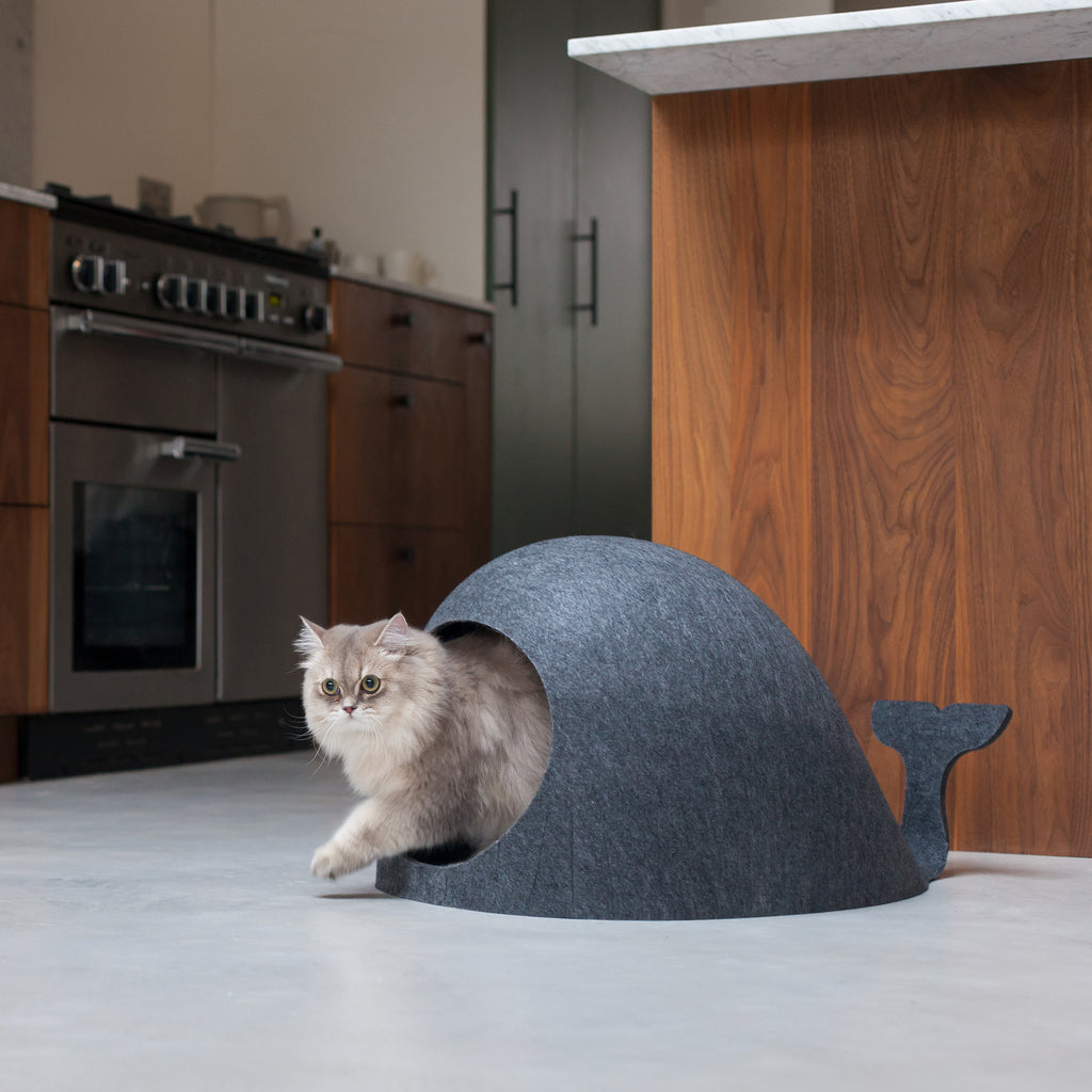 Sustainable whale pet house and bed in black featuring our cat.